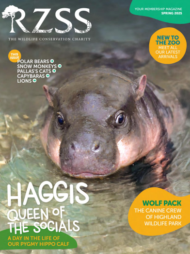 Spring 2025 members magazine front cover IMAGE: Think Publishing 2025